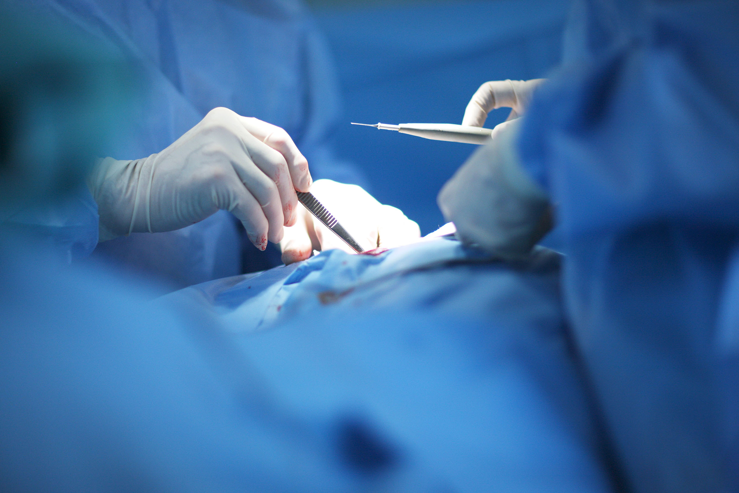 cirugia estetica y plastica cirugia estetica y plastica
